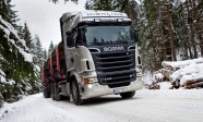 scania-forest