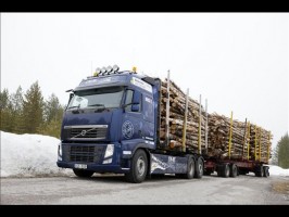 forest-truck