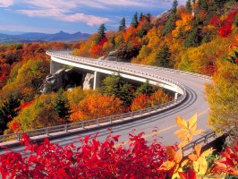 1-a-road-and-colorful-autumn