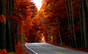 autumn-road