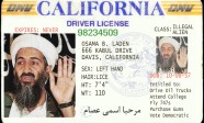 terrorist_drivers_license