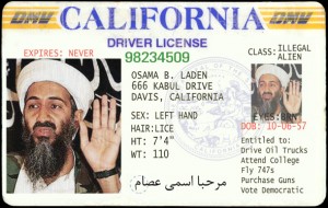 terrorist_drivers_license