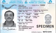 Drivers Licence Image