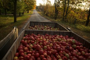 apple-truck